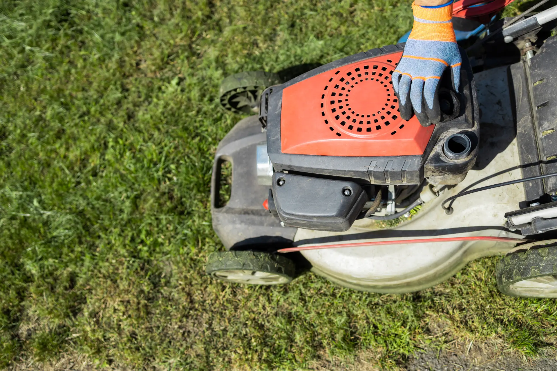 Electric vs Petrol Rotary Mowers